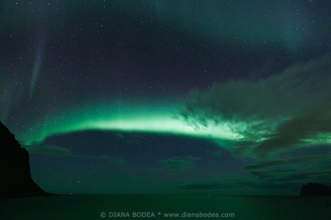 Aurora #10
