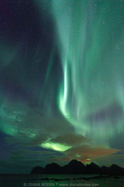 Aurora #12