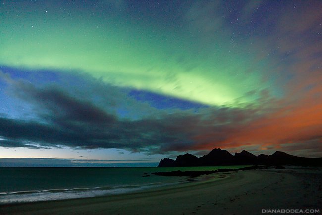 Aurora #7