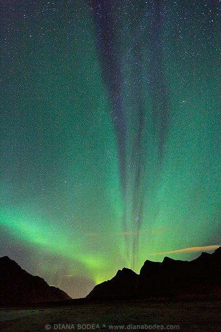 Aurora #8