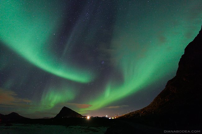 Aurora #9