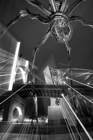 Bilbao - Guggenheim Museum #10