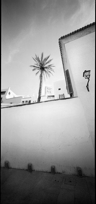 Dalt vila #2 - Holga 120 + Agfa APX 100 - expired