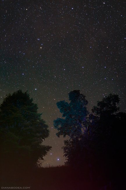 Garda de Sus - Romania