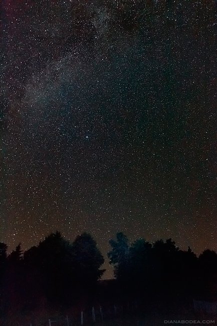 Garda de Sus - Romania