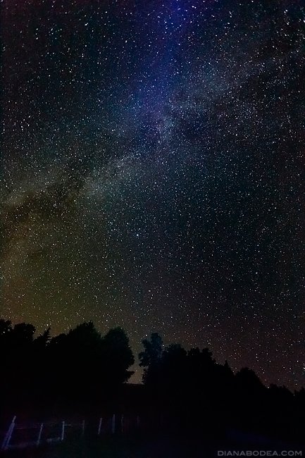 Garda de sus - Romania