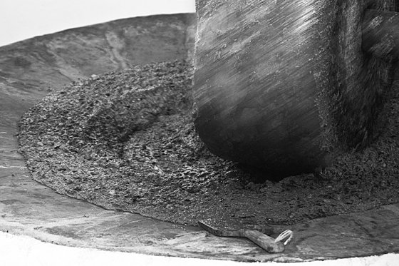 Olive Oil Extraction #13