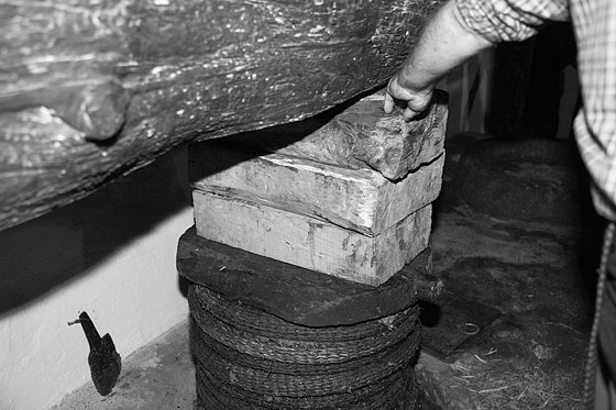 Olive Oil Extraction #17