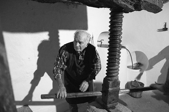 Olive Oil Extraction #19