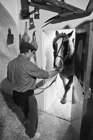 Olive Oil Extraction #7