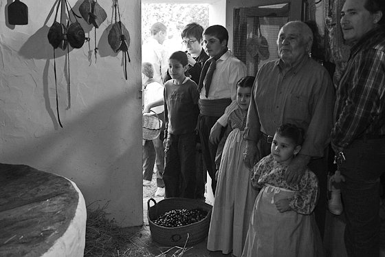 Olive Oil Extraction #9