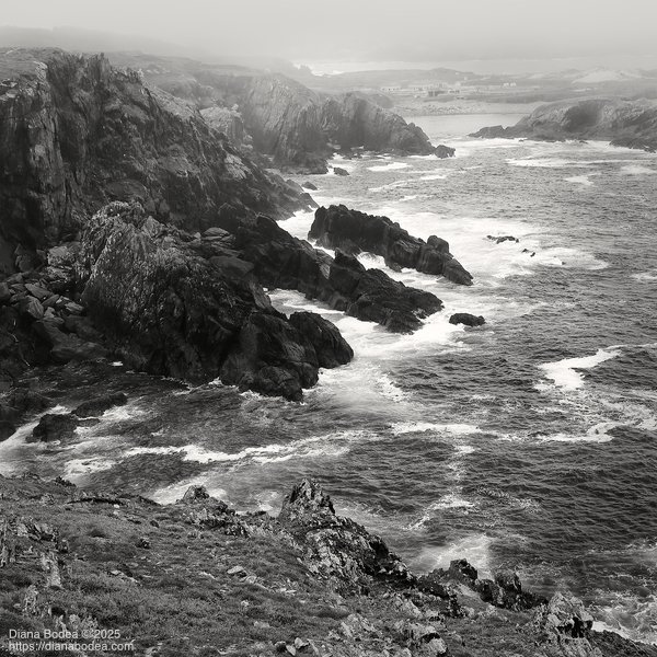 Always the sea